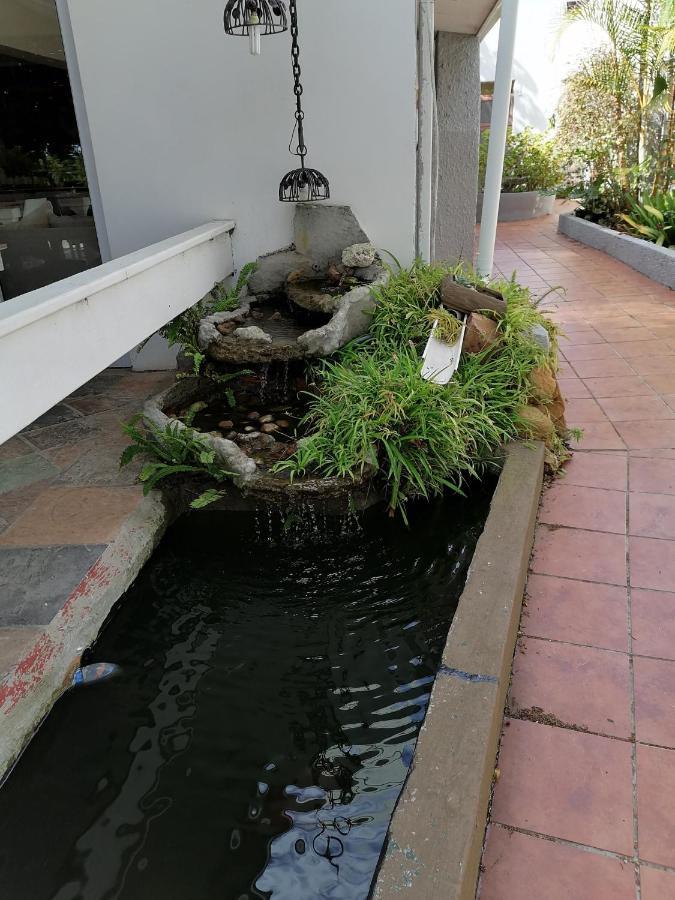 Mangolds Guest House Port Elizabeth Exteriér fotografie